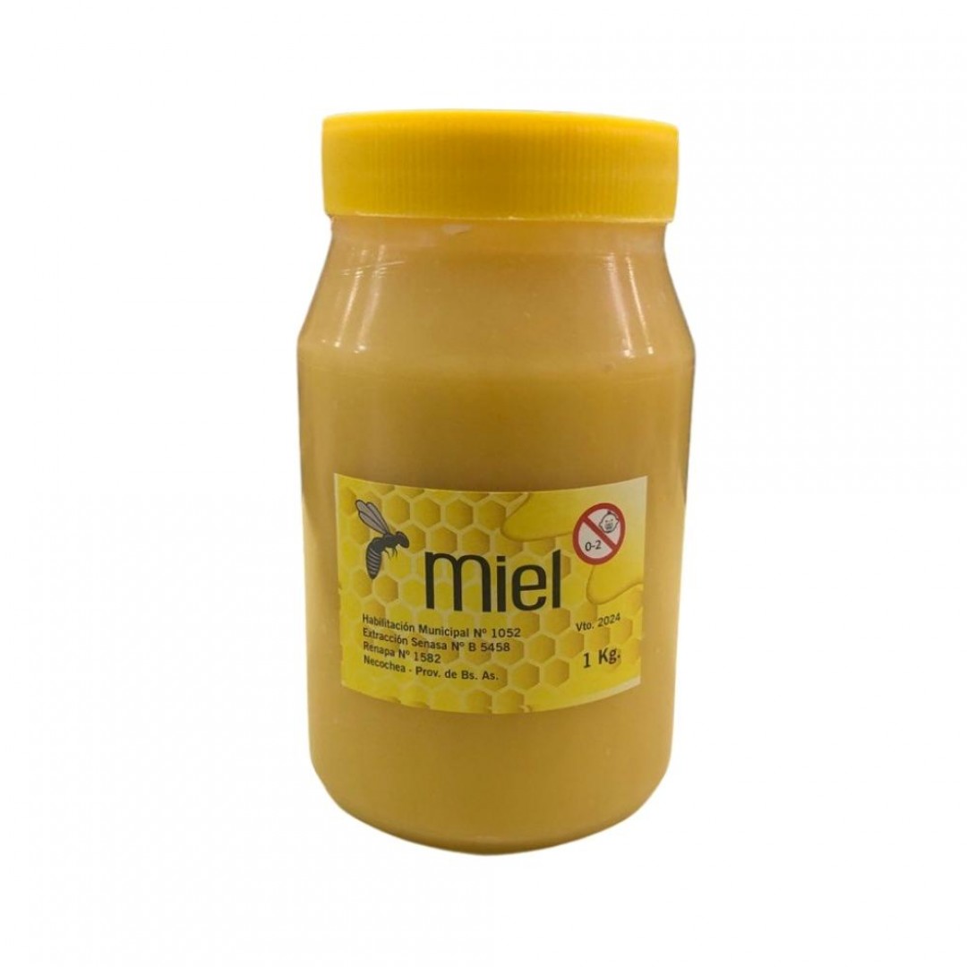miel-casera-1-kg-2100580059004