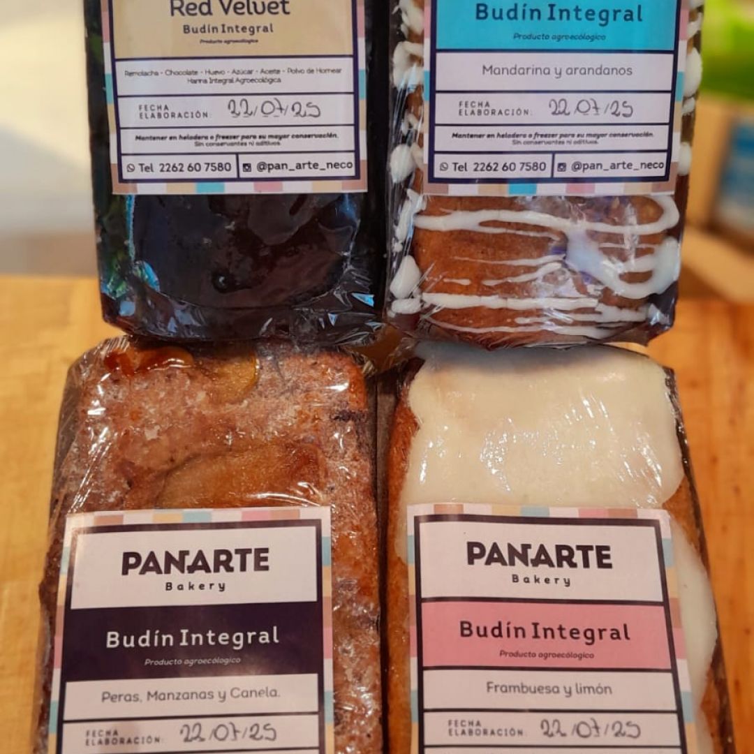 panarte-budin-integral-naranja-y-chocolate-280-gr-2000001004345