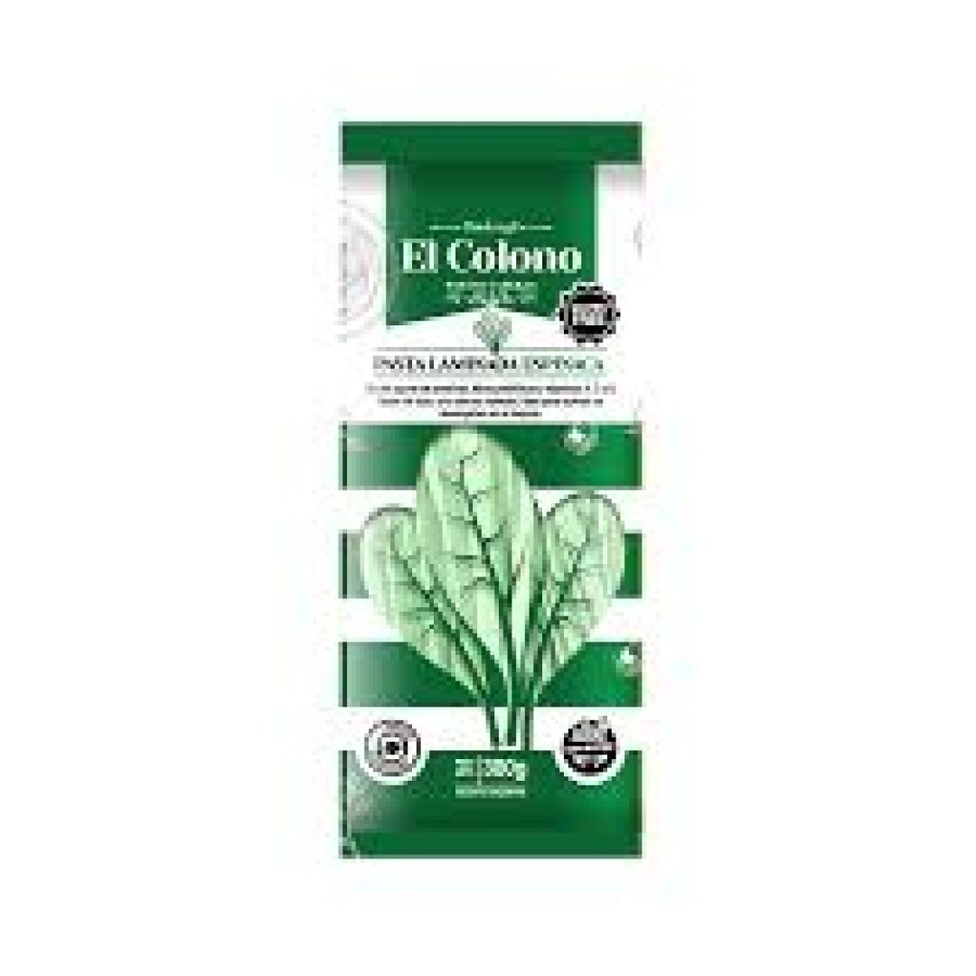 el-colono-pasta-laminada-de-espinaca-300-gr-763571861172