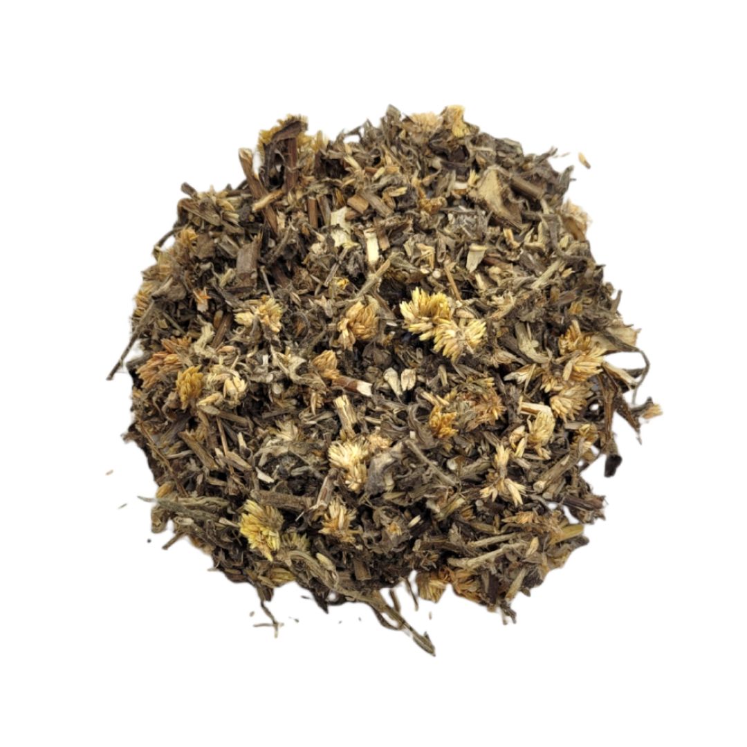 kg-marcela-2000001004533